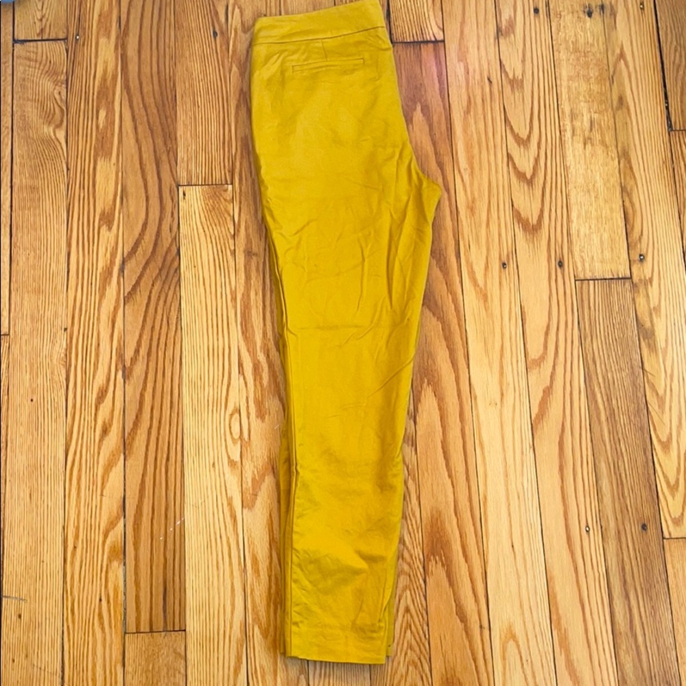 Women’s dress pants